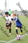 IMG_0003 (cam 0)