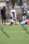 IMG_0040 (cam 0)