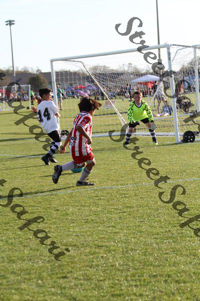 IMG_0007 (cam 0)