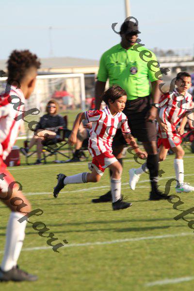 IMG_0031 (cam 0)