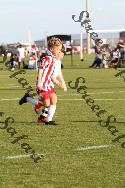 IMG_0049 (cam 0)