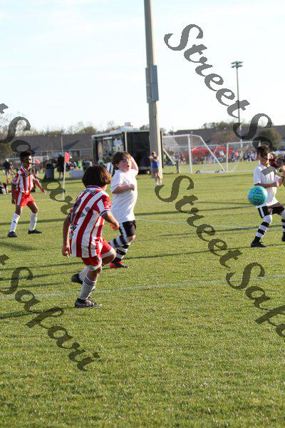 IMG_0111 (cam 0)