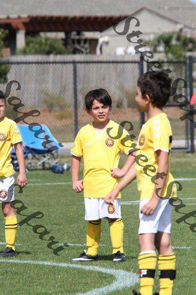 IMG_0031 (cam 0)