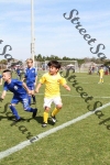 IMG_0062 (cam 0)