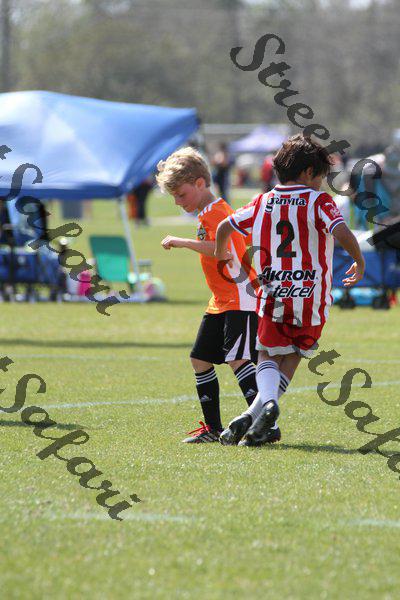 IMG_0081 (cam 0)