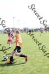 IMG_0051 (cam 0)