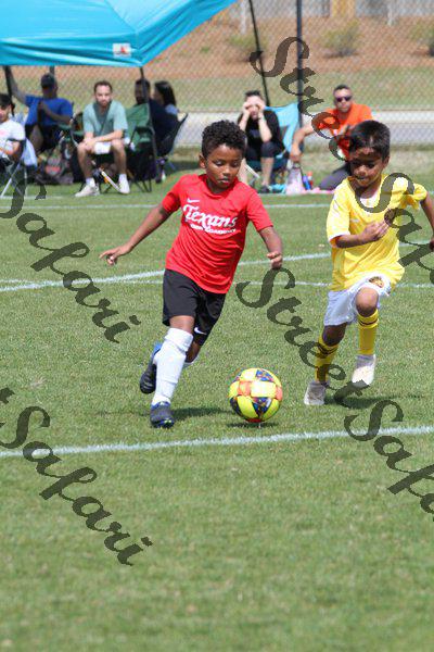 IMG_0051 (cam 0)
