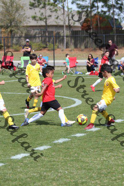 IMG_0052 (cam 0)