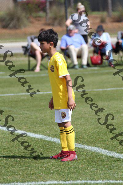 IMG_0084 (cam 0)
