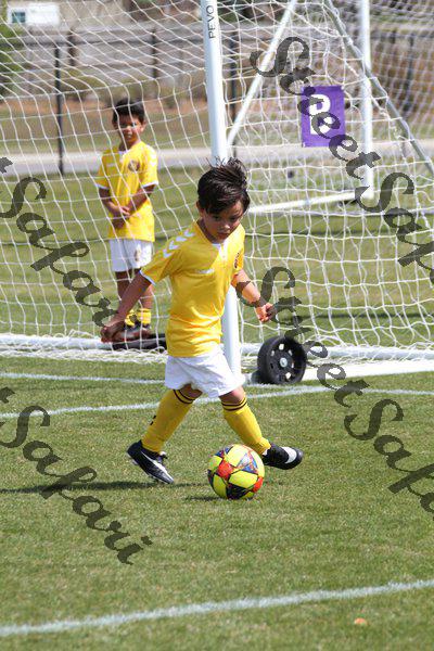 IMG_0090 (cam 0)
