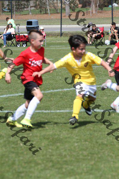 IMG_0111 (cam 0)