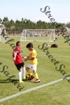 IMG_0003 (cam 0)