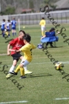 IMG_0028 (cam 0)