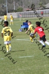 IMG_0035 (cam 0)