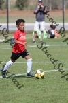 IMG_0044 (cam 0)