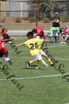 IMG_0047 (cam 0)