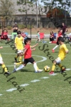 IMG_0052 (cam 0)