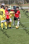 IMG_0108 (cam 0)