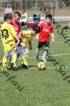 IMG_0109 (cam 0)
