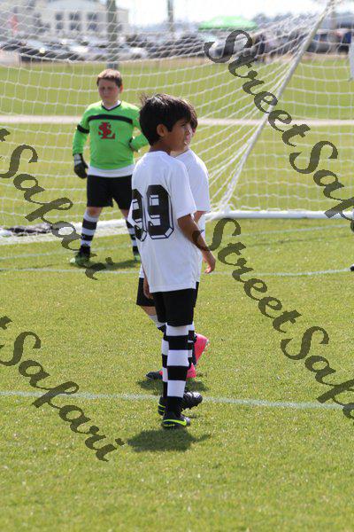 IMG_0012 (cam 0)