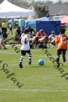 IMG_0041 (cam 0)