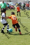 IMG_0058 (cam 0)