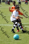 IMG_0066 (cam 0)