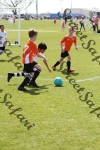 IMG_0072 (cam 0)
