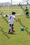 IMG_0100 (cam 0)