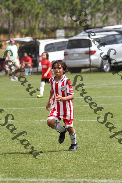 IMG_0052 (cam 0)