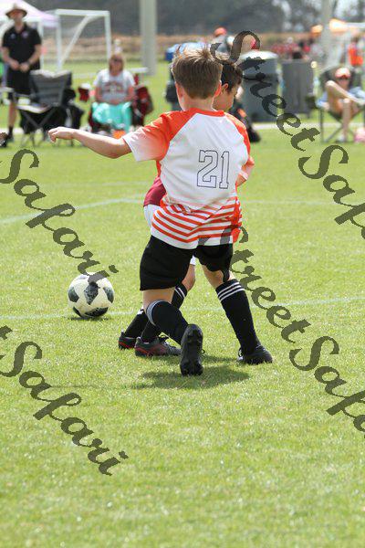 IMG_0049 (cam 0)