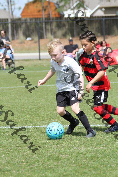 IMG_0043 (cam 0)