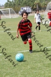 IMG_0054 (cam 0)