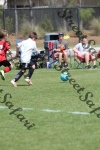 IMG_0100 (cam 0)