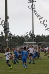 IMG_0084 (cam 0)