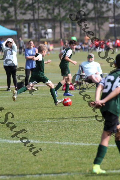 IMG_0172 (cam 0)