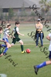 IMG_0071 (cam 0)