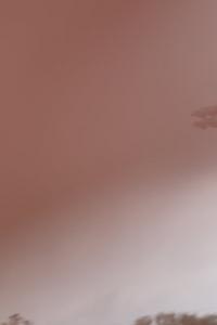 IMG_0001 (cam 0)
