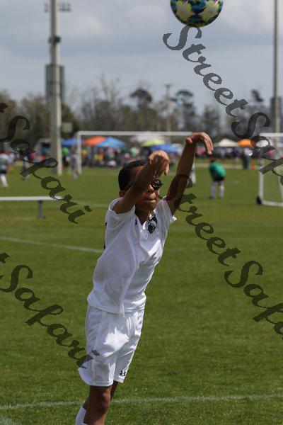 IMG_0017 (cam 0)