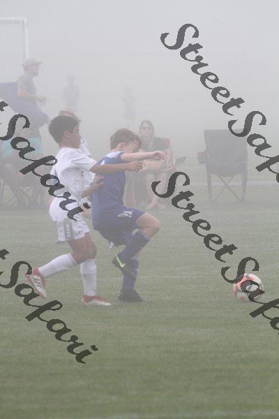 IMG_0172 (cam 0)