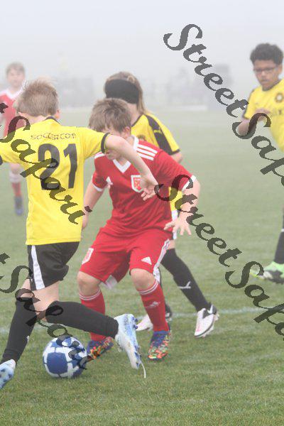 IMG_0005 (cam 0)