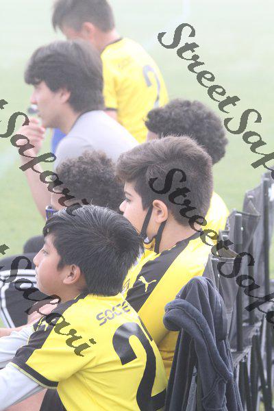 IMG_0113 (cam 0)