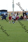 IMG_0050 (cam 0)