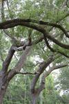 IMG_1561 (cam 2)