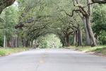 IMG_1620 (cam 2)