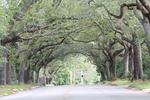 IMG_1621 (cam 2)