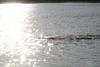 IMG_0014 (cam 2)