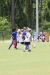IMG_0091 (cam 0)