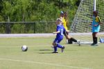 IMG_0008 (cam 0)