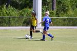 IMG_0012 (cam 0)